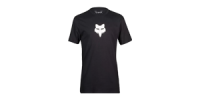 Volný čas