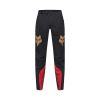 Pánské cyklo kalhoty Fox Flexair Pant Goldstone Se