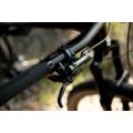 XC kolo SUPERIOR XF 9.6 Team / Gloss Carbon / Red Carbon 19