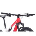 XC kolo SUPERIOR XF 9.6 RC
