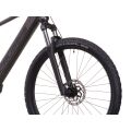 Elektrokolo CRUSSIS ONE-Largo 7.11-(715 Wh) 20
