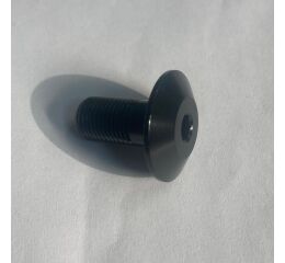 Náhradní díl Santa Cruz Bolt, AL M10x20LG Rev B