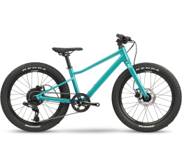 Dětské kolo BMC  2022 Twostroke AL 20