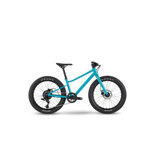 Dětské kolo BMC Twostroke AL 20 V2